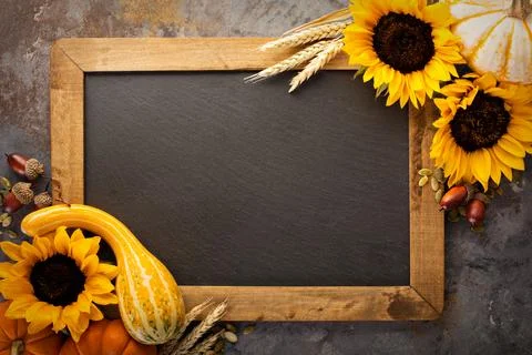 Fall chalkboard frame with pumpkins Stock Photos