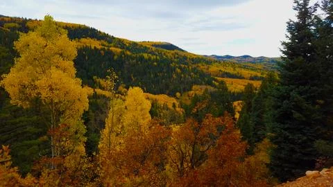 Fall in Chama Stock Photos
