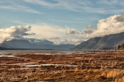 Fall on the chilkat inlet Stock Photos