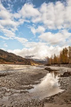 Fall on the chilkat river Stock Photos