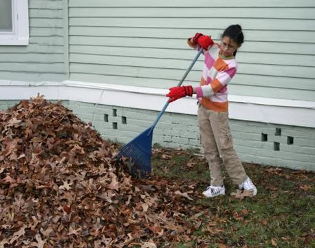 Fall Chores Stock Photos