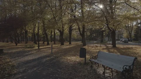 Fall. City Park full of orange and yellow fallen leaves 库存影片 219859241