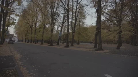 Fall. City Park full of orange and yellow fallen leaves Stockbeeldmateriaal 219859283