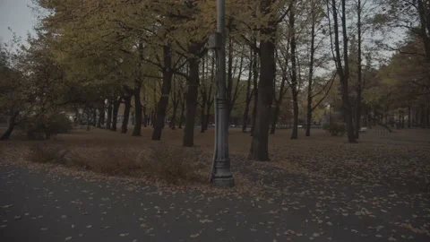Fall. City Park full of orange and yellow fallen leaves 库存影片 219859285