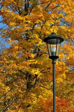 Fall in the city Stock Photos