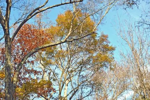 Fall clear crisp sky Stock-Fotos