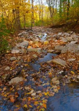 Fall in cliff cave park 스톡 사진