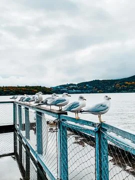 Fall in Cold Spring, NY Stockfoto's