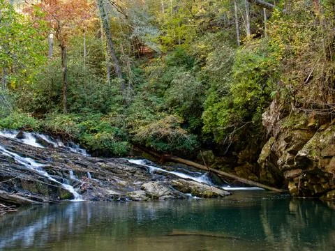 Fall color along a mountain stream. Foto stock