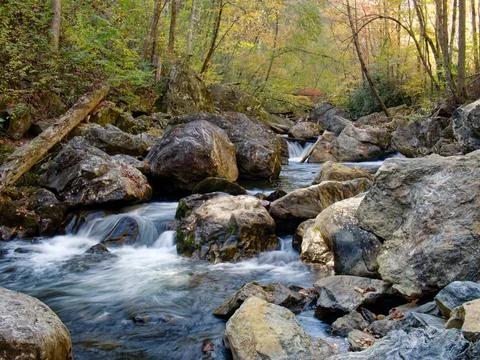 Fall color along remote mountain stream Stockfoto's