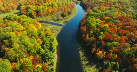 Fall color along river look down 30 deg Stock Footage 256914900