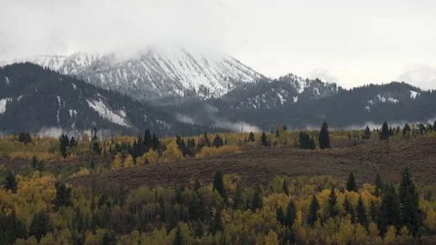 Fall Color and Clouds and Gross Venture Mountains, Grand Teton National Park Stock Footage 142294964