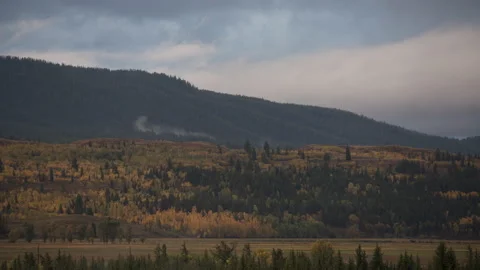 Fall Color and Clouds and Gross Venture Mountains, Grand Teton National Park Stock Footage 142416936