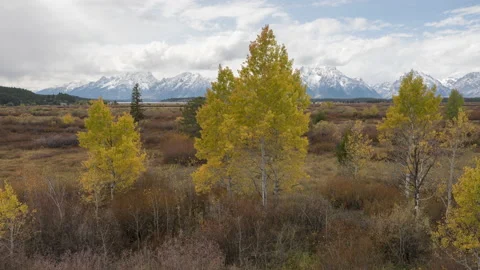 Fall Color and Clouds and Grand Teton Range in distance, Grand Teton Stock Footage 142419673