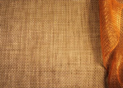 Fall Color Background 库存照片