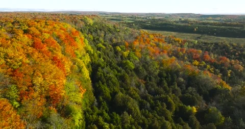 Fall color bluffs 3 Stock Footage 256915006