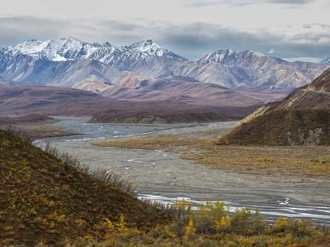 Fall color change amongst the trees and shrubs in Polychrome Pass in Denali Stock Photos