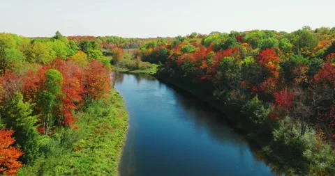 Fall color dip down towards river Stock Footage 256914977