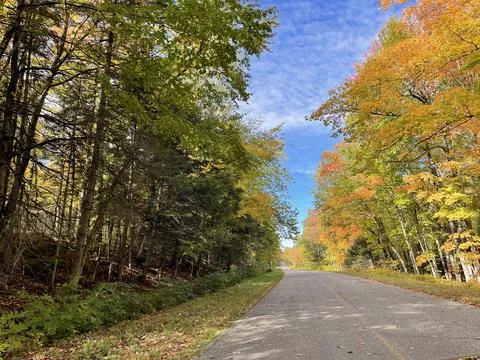 Fall Color Drive with Trees Stock Photos