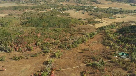 Fall color fields 動画素材 296795296