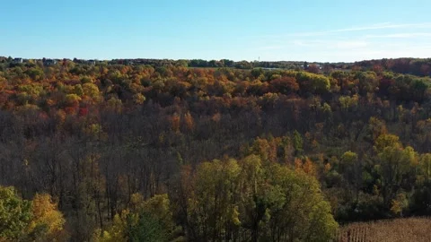 Fall color in Hubertus, Wisconsin Vídeos de archivo 253974583