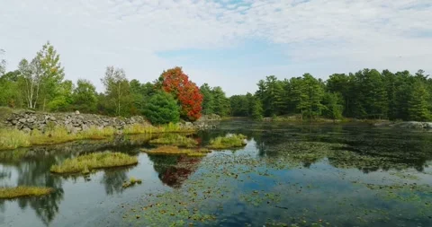 Fall color at a lake Stock Footage 256914930