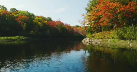 Fall color low along river around corner Stock Footage 256915088