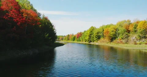 Fall color low along river turning left Stock Footage 256915154