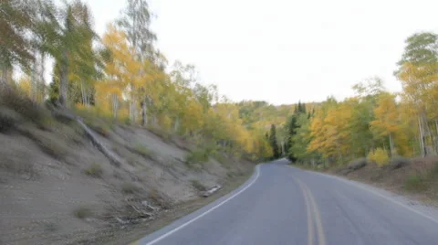 Fall Color Mountain Drive HD2014 Stock Footage 990740