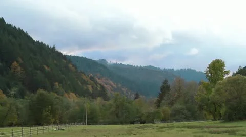 Fall Color on Mountain side Video stock 12384717