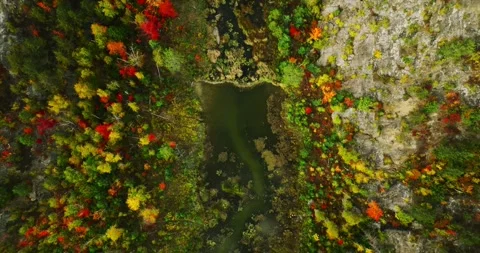 Fall color ottawa river top down 1 Stock Footage 256915213