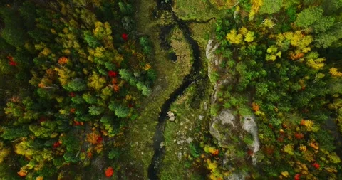 Fall color ottawa river top down 2 Stock Footage 256915280