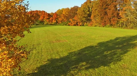 Fall Color Pasture and Trees HD Stock Footage 32394086