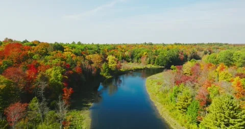 Fall color rising up from river Stock Footage 256915834