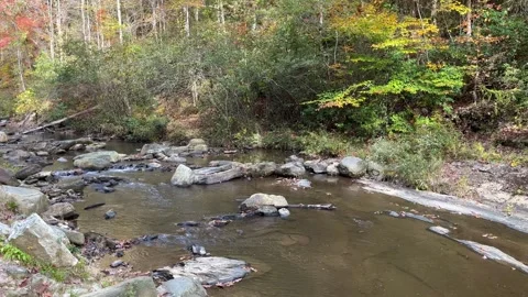 Fall color at river Stock Footage 257516651