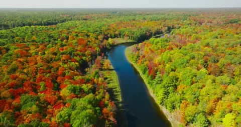 Fall color river full maple forest distnce 2 Stock Footage 256915850