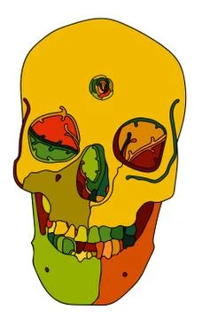 Fall color scull Stock Illustration