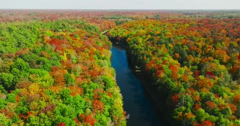 Fall color trees along river mid height Stock Footage 256915869
