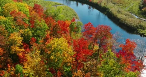 Fall color twist tilt down red trees Stock Footage 256915871