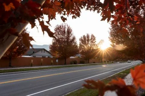 Fall colored leaf frame around the sun going with flare over the street Stock Photos