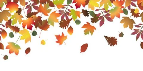 Fall colored leaves background Stock Illustration