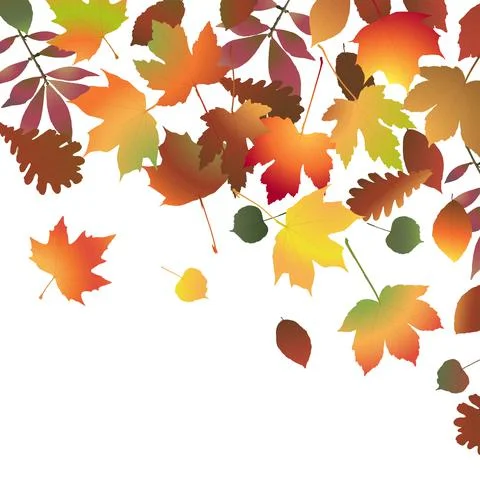 Fall colored leaves background Stock Illustration