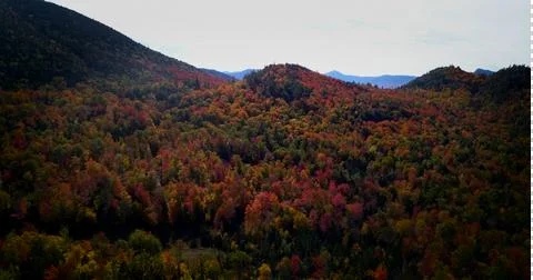 Fall colored mountain Foto stock