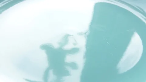 Fall colored spices vegetables dried on a plate rotation Stock-Footage 87253868