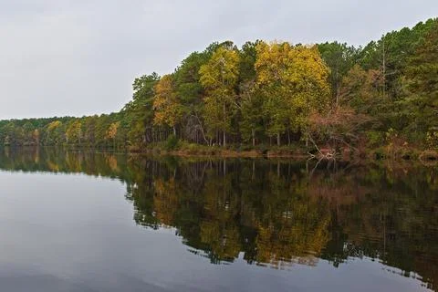 Fall Colored Trees Reflections on Calm Pond Water Stock Photos