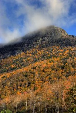 Fall Colors 1 Stock Photos