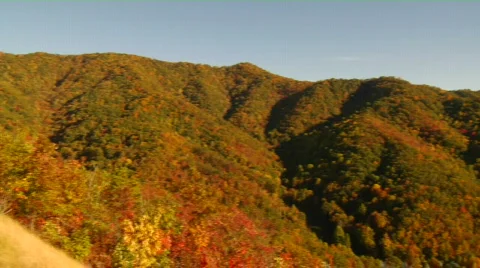 Fall colors 10 Video stock 298473