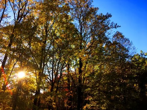 Fall Colors 10 Stock Photos