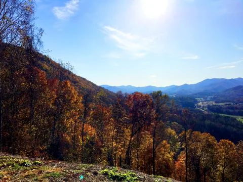 Fall Colors 11 Stock Photos