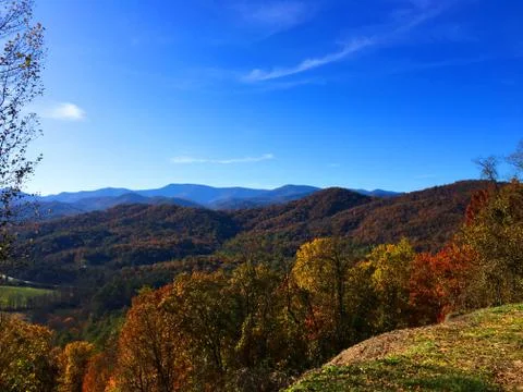 Fall Colors 16 Stock Photos